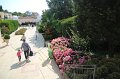 IMG_5202