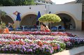 IMG_5215