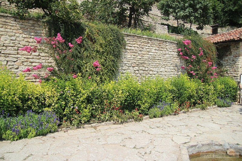 IMG_9627.JPG