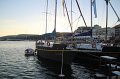 IMG_9440