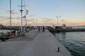 IMG_9442