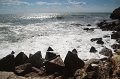 IMG_9464