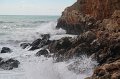 IMG_9481
