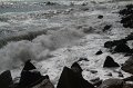 IMG_9482