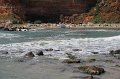 IMG_9522