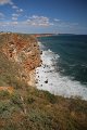 IMG_9530