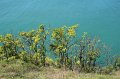 IMG_9535