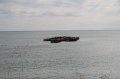 IMG_9559