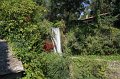 IMG_9616