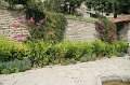 IMG_9627