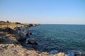 IMG_9688