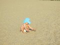 IMG_0516