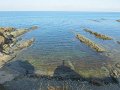 IMG_0544