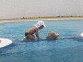 IMG_0567