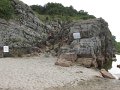 IMG_0586