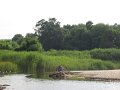 IMG_0612