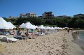 IMG_8603