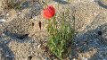 P7131252