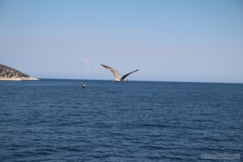 IMG_2938.JPG