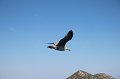 IMG_2936
