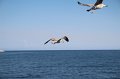IMG_2937