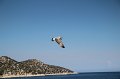 IMG_2940
