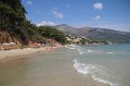 IMG_2952