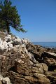 IMG_3203