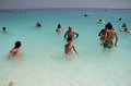 IMG_3217