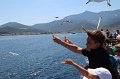 IMG_3268
