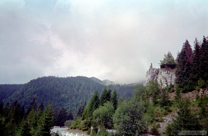 IMG641.jpg