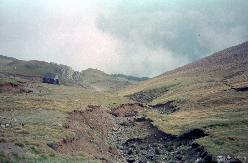 IMG643.jpg