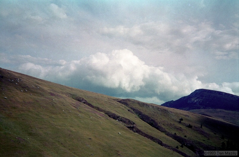 IMG645.jpg