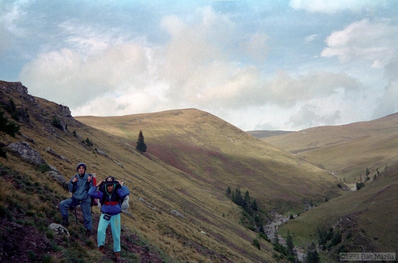 IMG646.jpg