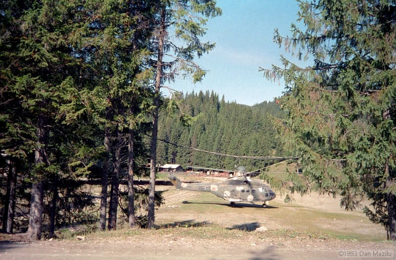 IMG652.jpg