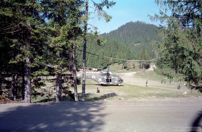 IMG653.jpg