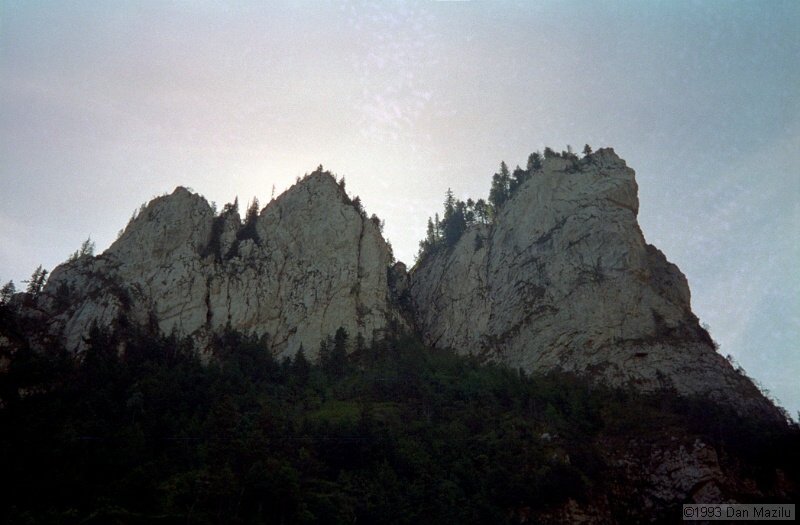 IMG655.jpg