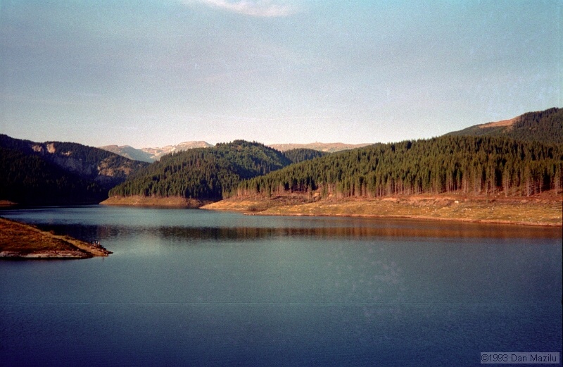 IMG658.jpg