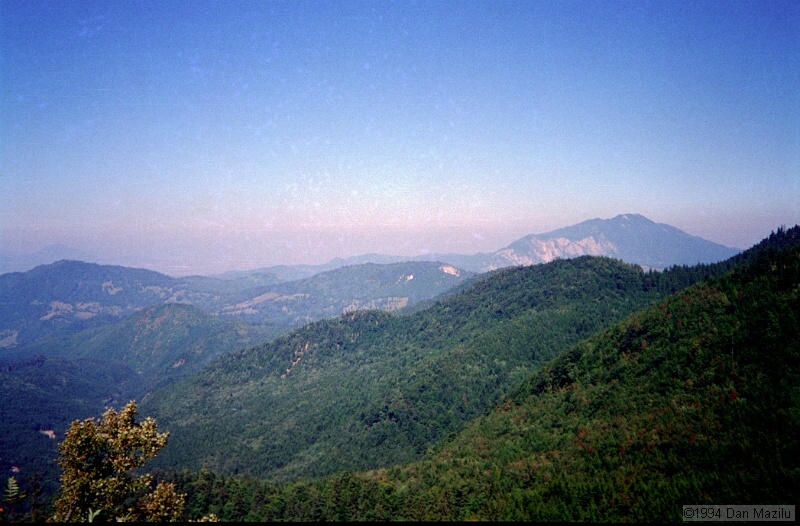 IMG2006.jpg