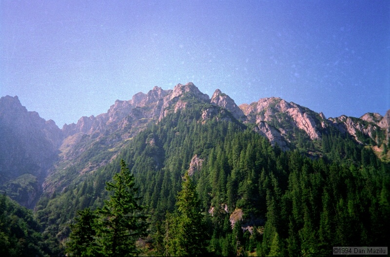IMG2007.jpg