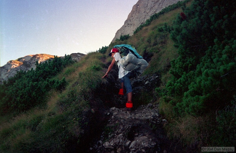 IMG2008.jpg