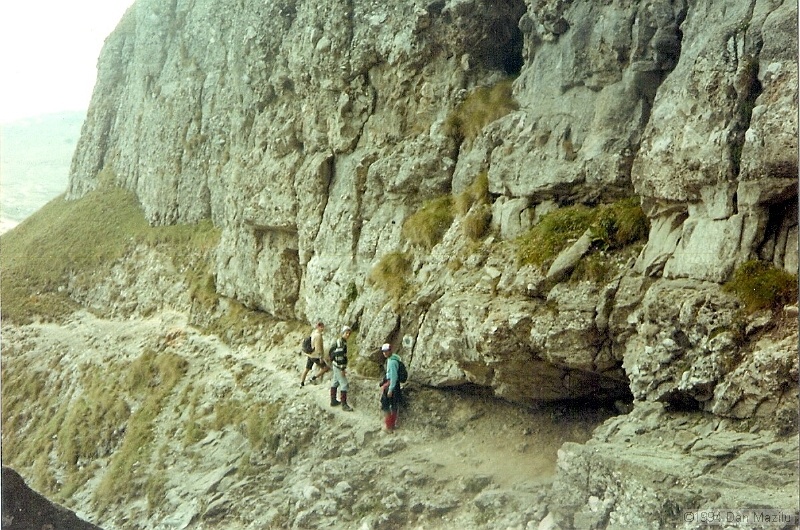 scan0113.jpg