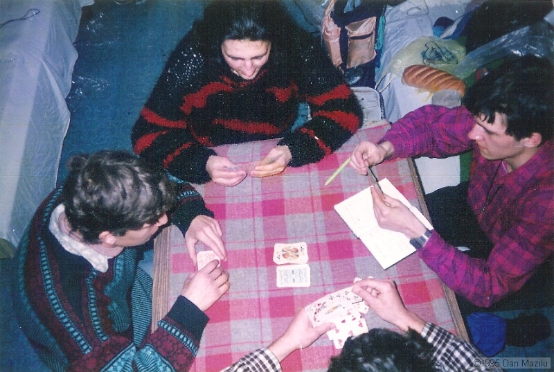 046.jpg