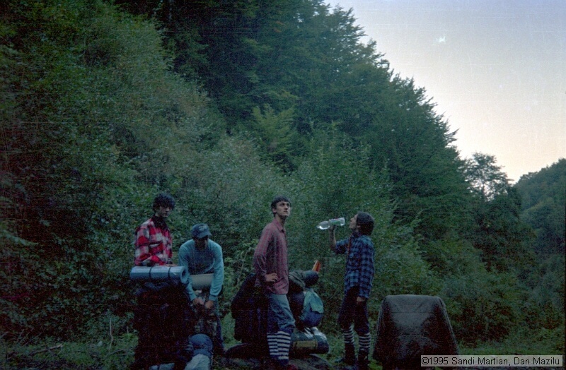 IMG1358.jpg