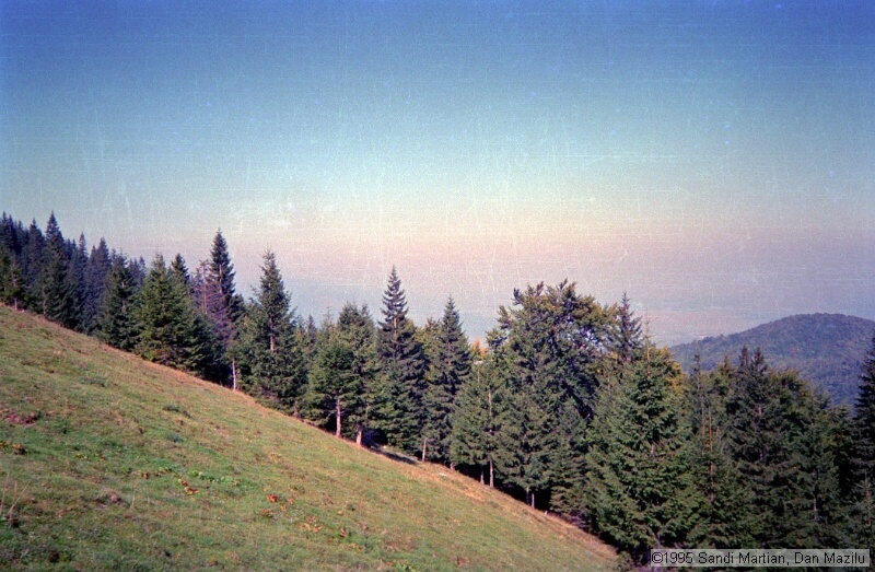 IMG1359.jpg