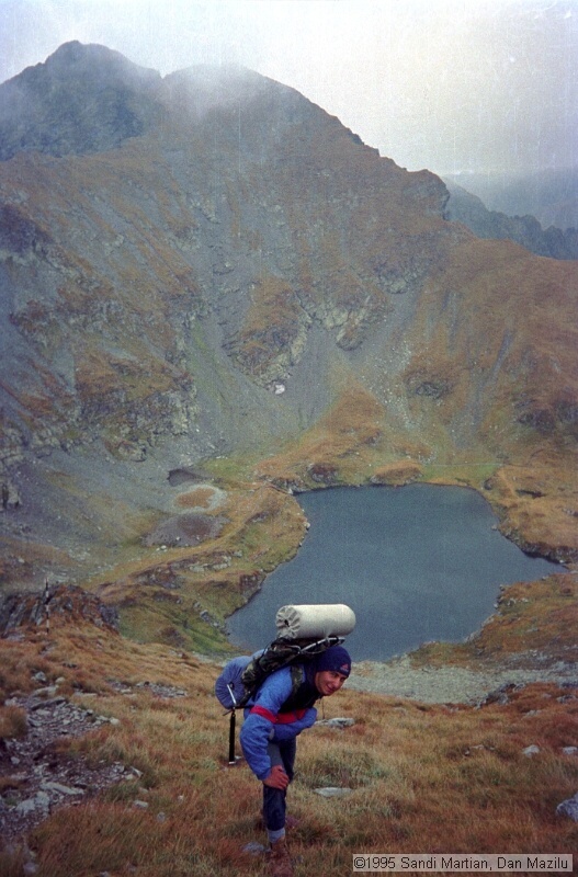 IMG1370.jpg