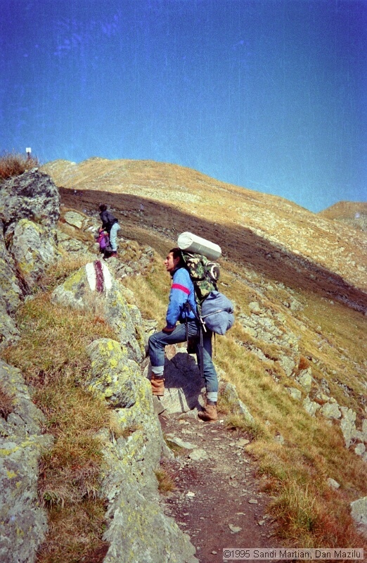 IMG1371.jpg