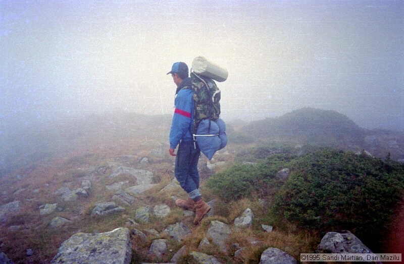 IMG1378.jpg