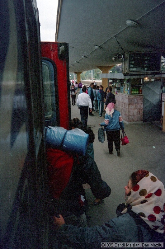 IMG1387.jpg