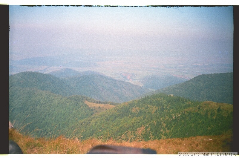 IMG3224.jpg